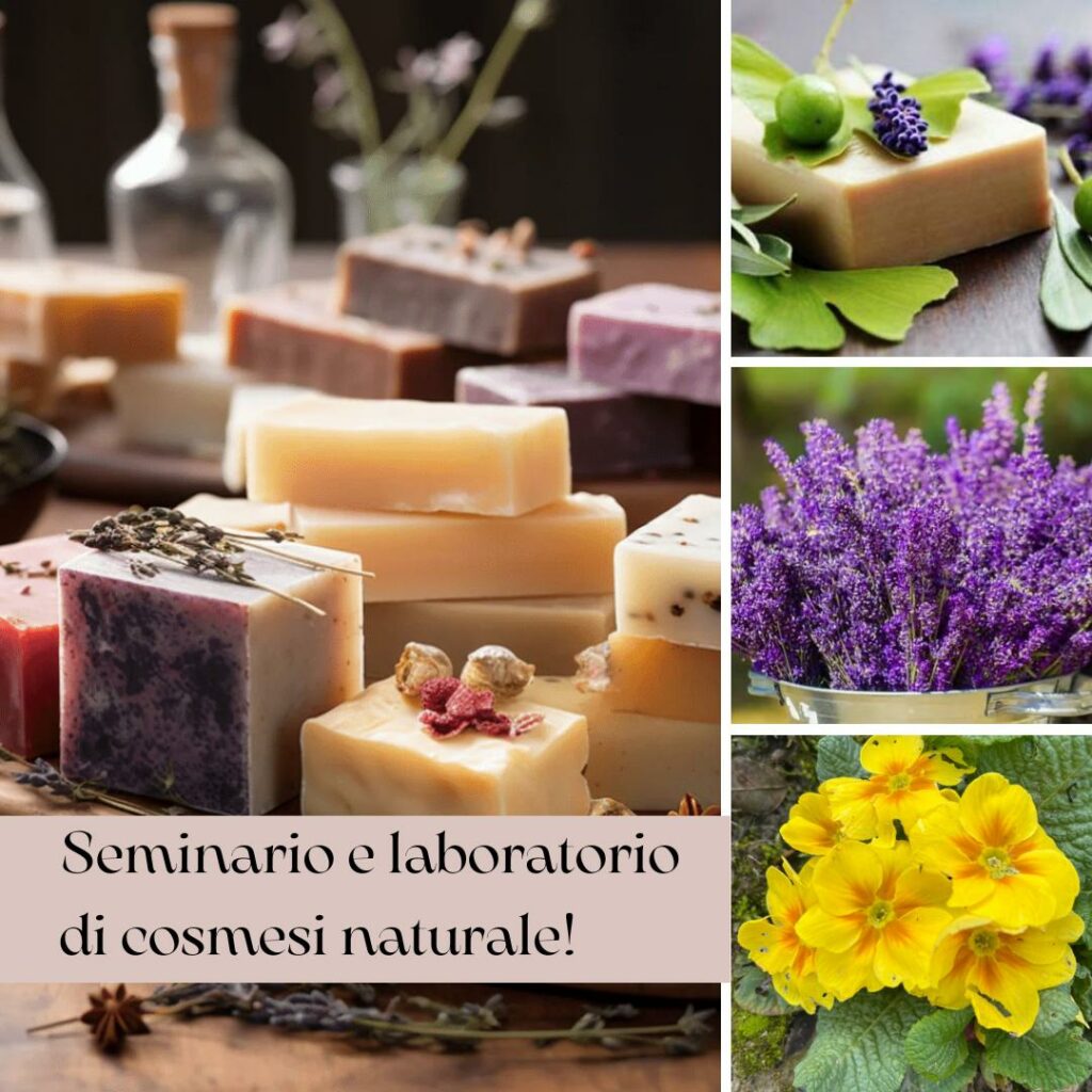 Seminario e Laboratorio di cosmesi naturale! 🪷 Sabato 11 maggio dalle 14.30 alle 18.00 Parte teorica con laboratorio per la realizzazione di prodotti naturali, faremo insieme: 🪷 sapone solido a freddo 🪷 sapone liquido di Marsiglia e Aleppo 🪷 collutorio naturale 🪷 crema mani 🪷 olio viso e corpo 🪷 struccante naturale 🪷 olio per capelli 🪷 profumo naturale